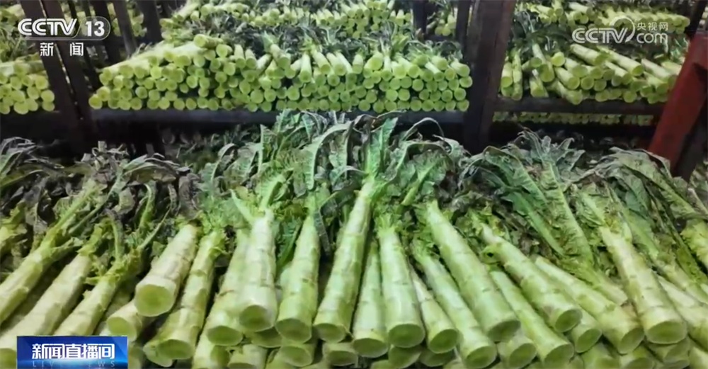 超范围使用！莴笋违规添加“果绿” 甘肃榆中6家蔬菜收购企业被查处